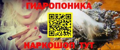 сатива Аргун