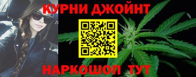 сатива Аргун